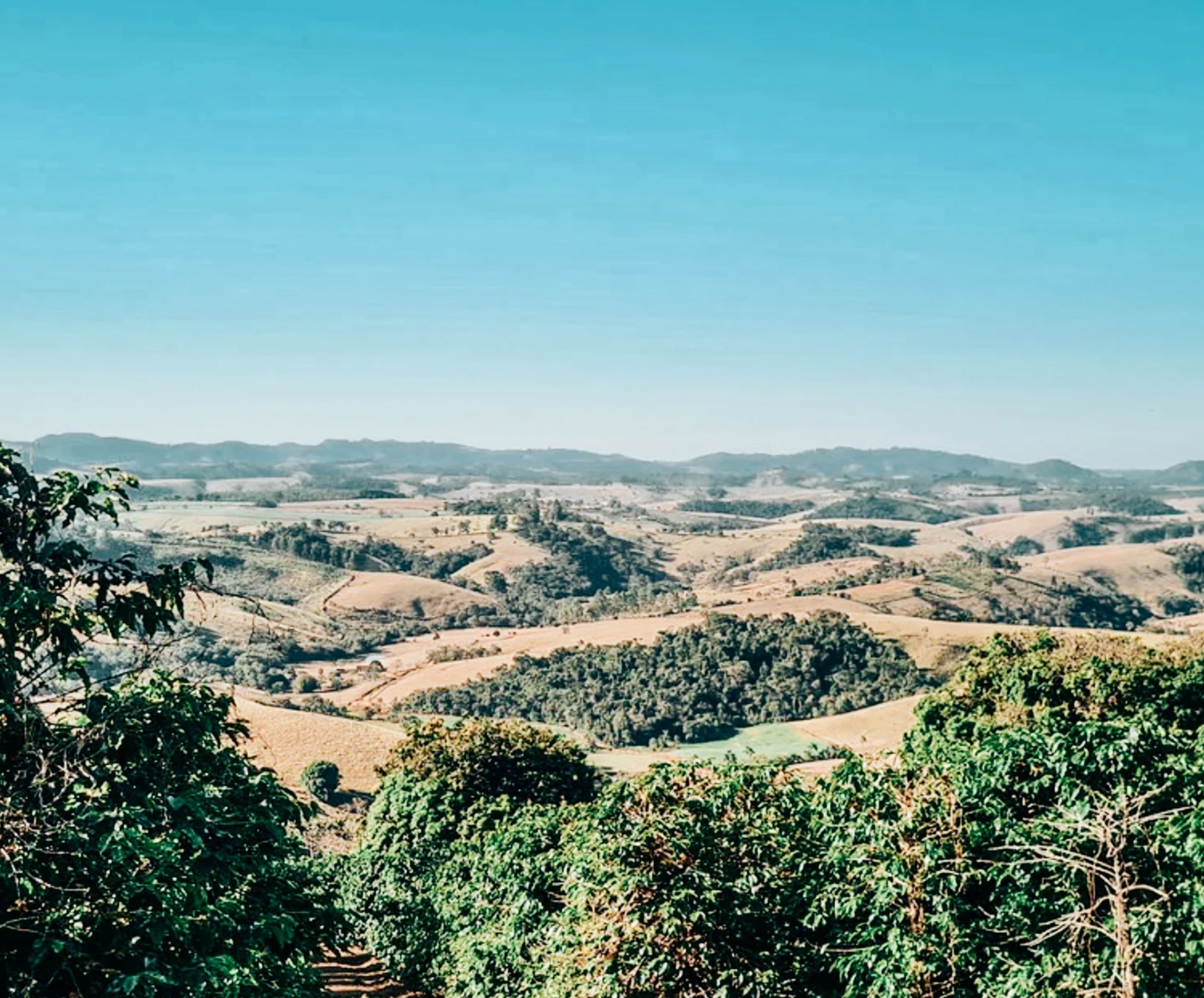 Brazil | Minas Gerais | SCA 86