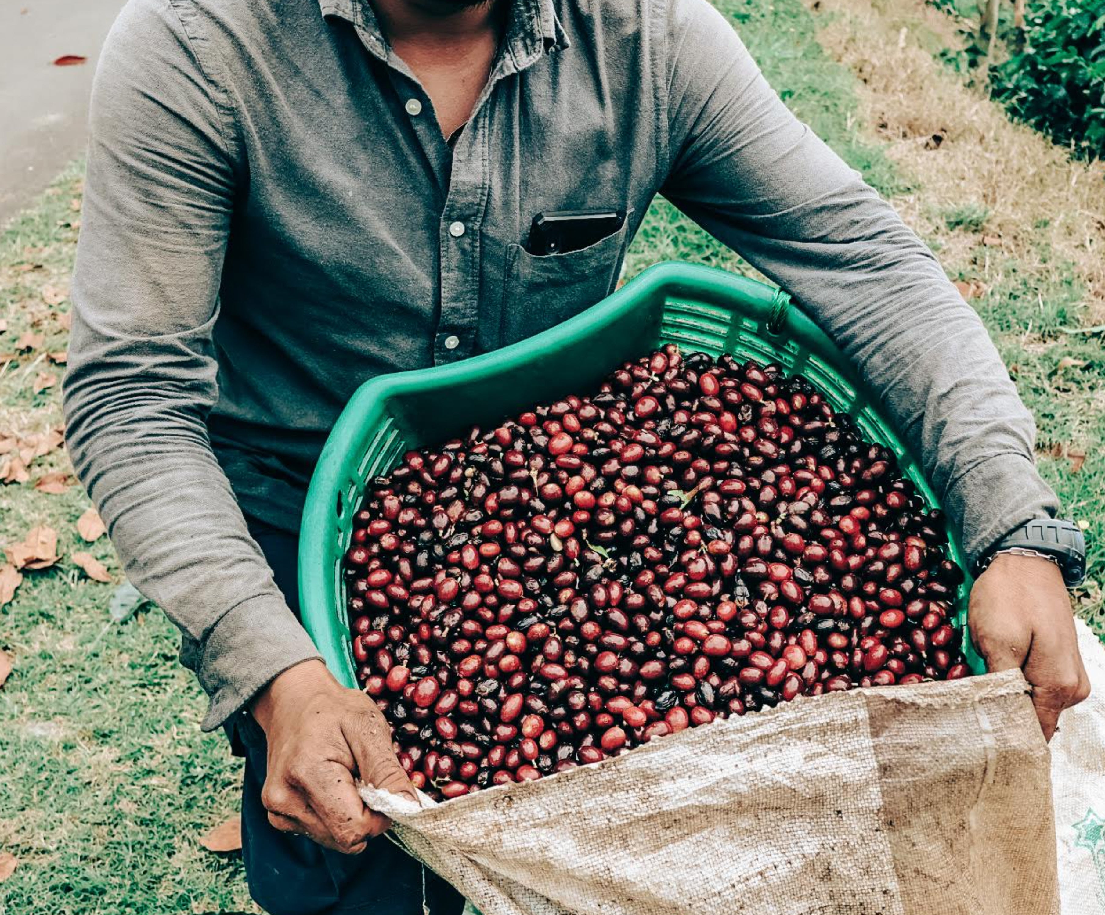 Costa Rica | Naranjo | SCA 86