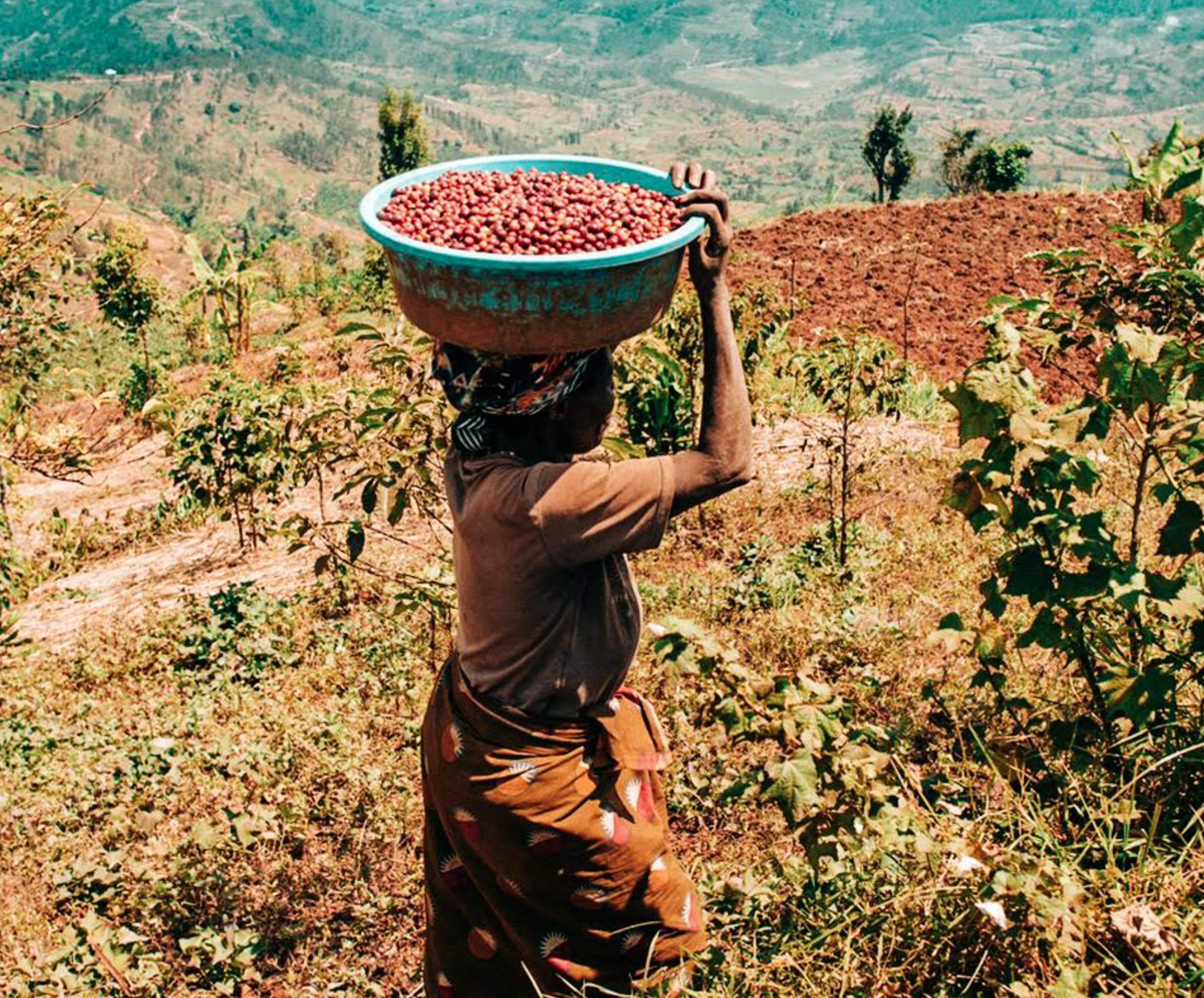 Rwanda | Lake Kivu | SCA 87