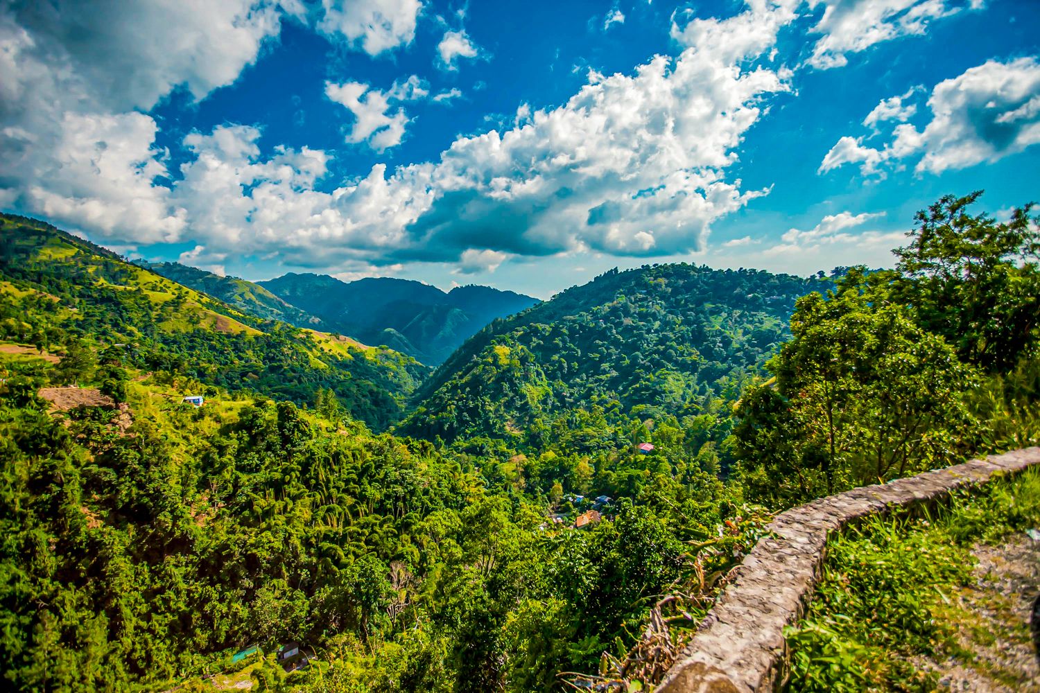 Qahwah Club Jamaican Blue Mountain Coffee