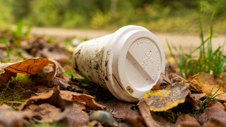 The Coffee Climate